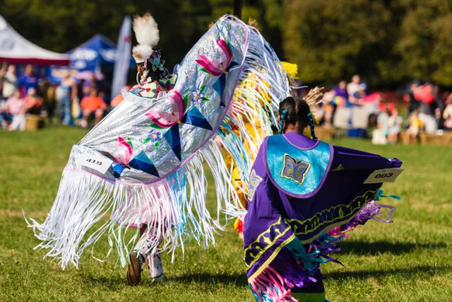 Chicago Cultural Alliance