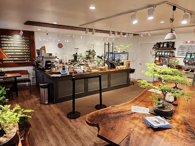 Amsterdam Coffee Bar