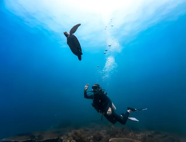 Quality Diving | DFS BORNEO SDN BHD