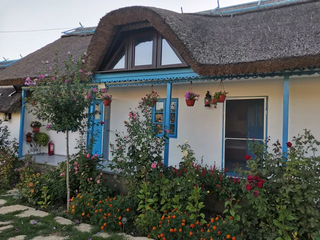 Pesiunea Casa Golovita