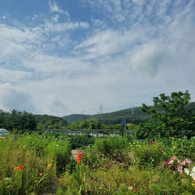 photo-1