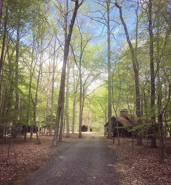 Camp Under the Stars