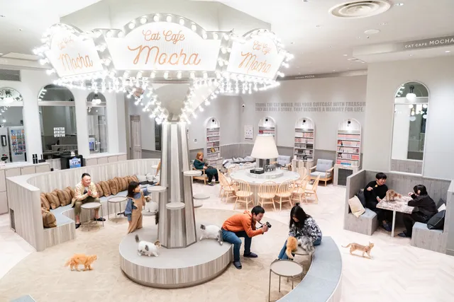 CAT CAFE MOCHA AEONMALL Takasaki Store
