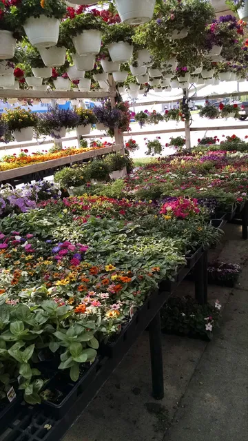 Blue Freedom Farm Market Inc