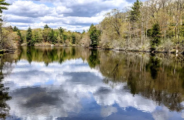 White Memorial - Beaver Pond Trail