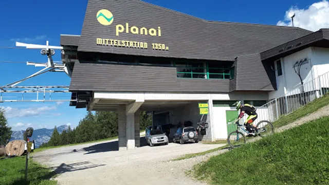 Spring floor - Planai