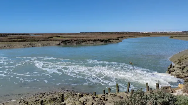 Bahía Cádiz Natural Park