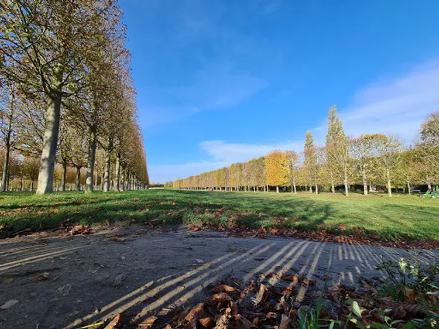 Terrasses de Saint Germain