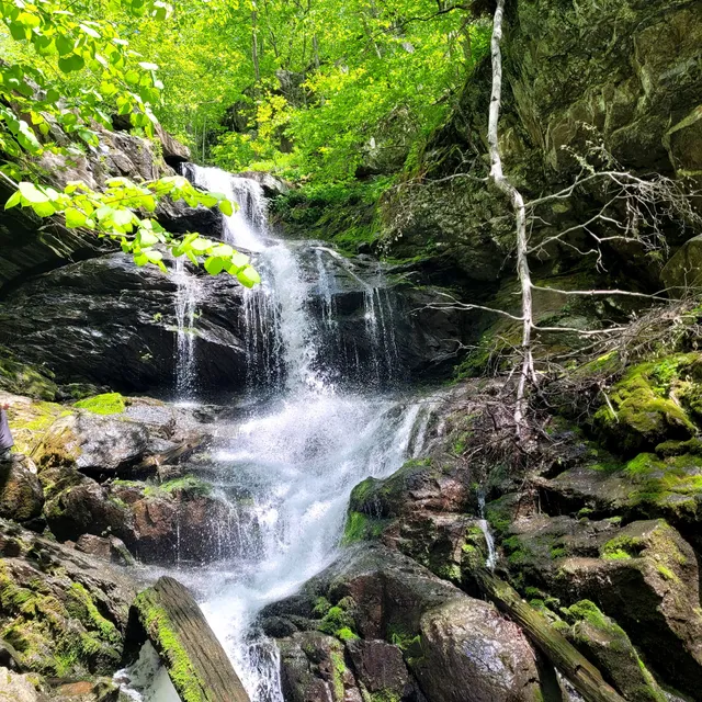 Doyles River Falls Trailhead