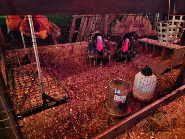 Dishman’s Hurley Flea Market