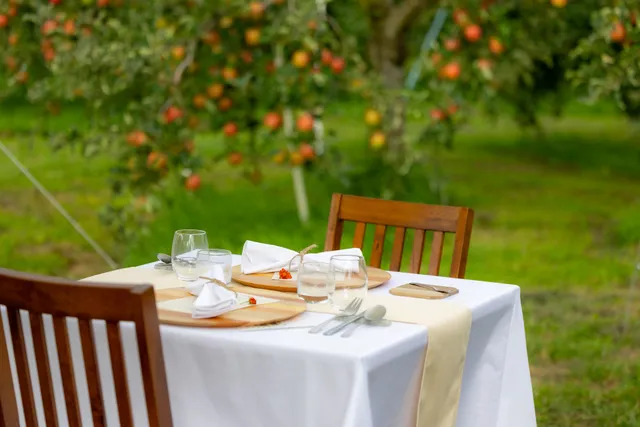 Orchard Restaurant Matsukawa