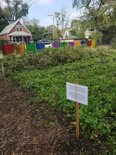 Growing Home Urban Farm