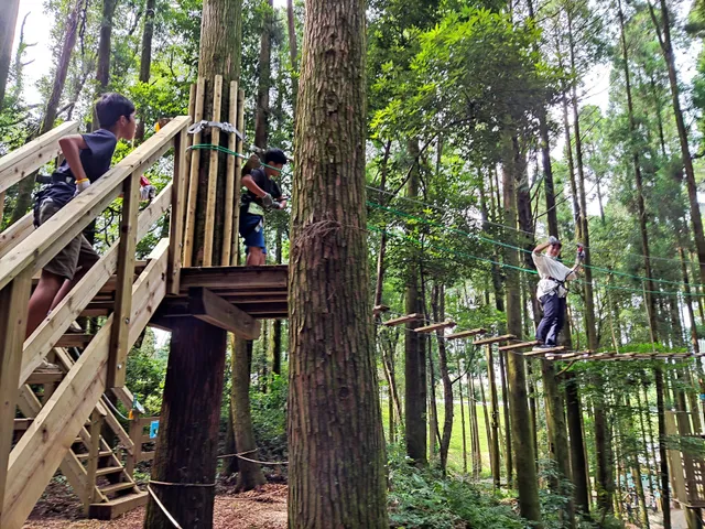 Forest Adventure Osumi