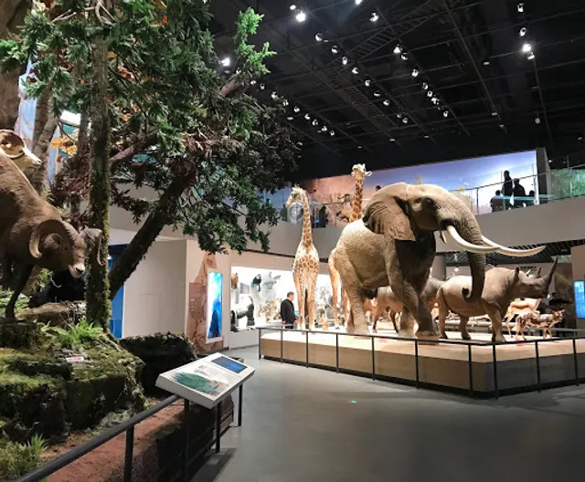 自然博物馆