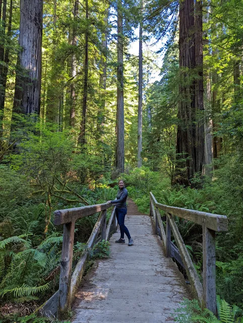 Brown Creek Trailhead