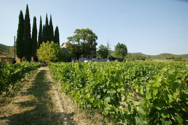 Domaine Aspras