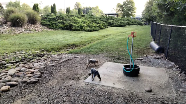 Public Dog Park at Pet Safe Village