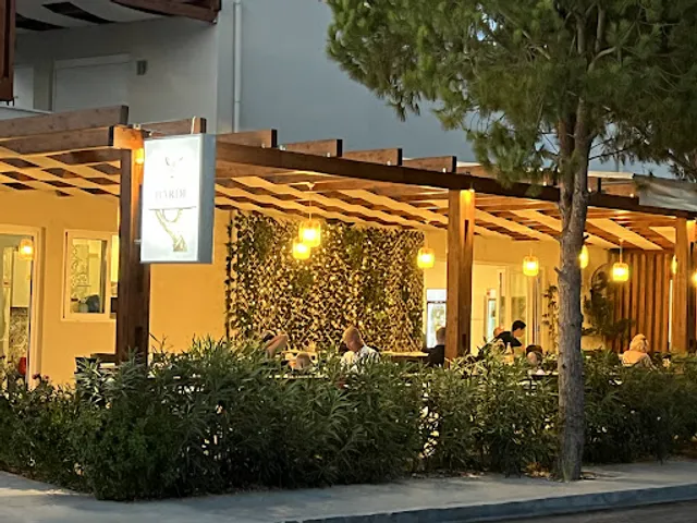 BARDI Meet The Meat Restaurant