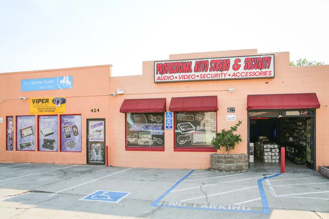 Professional Auto Stereo & Security