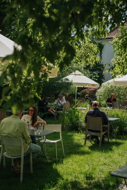 DZiK House of Fun and Culture