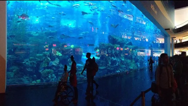 Dubai mall aquarium