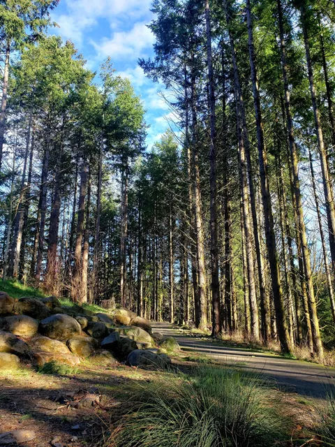 Roger Tilbury Memorial Park