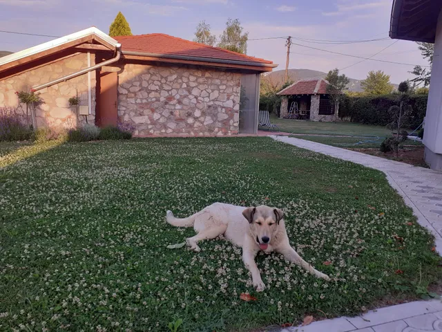 Gorica-Bistrica (smeštaj - seosko turističko domaćinstvo)