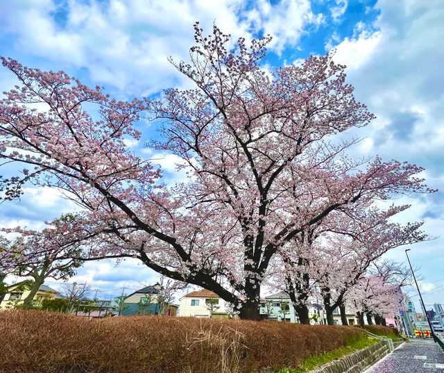 Higashimizumoto Park