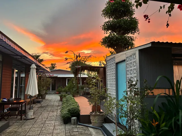 Home Lọ Lem Cinderella