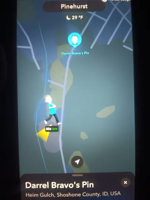 Idaho Tomato Lady/Pine Creek Nursery