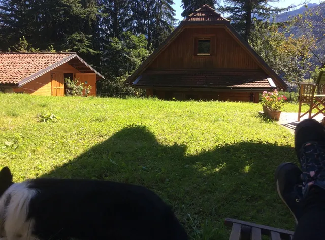 Agriturismo bosco di Museis