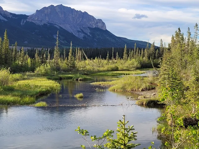 Many Springs Day Use Area