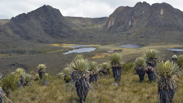 Caminatas Ecológicas Bogotá