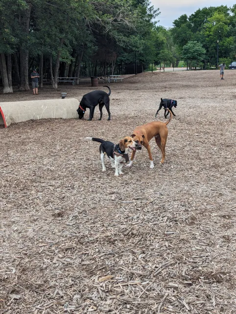 Bonnie Wenk Park Dog Park