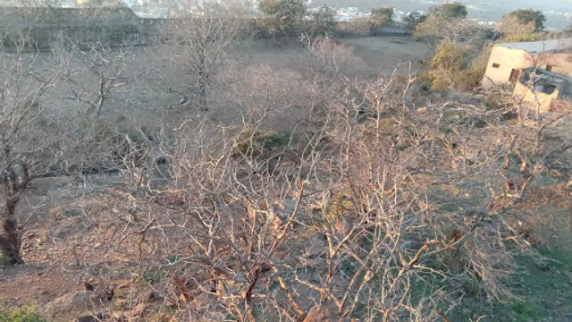 krishna bali special