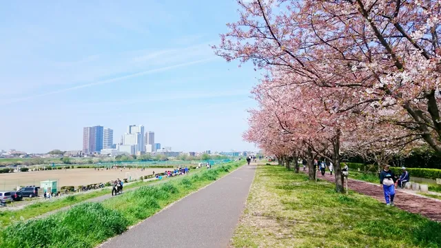 Tamagawa Gas Bridge Green Space