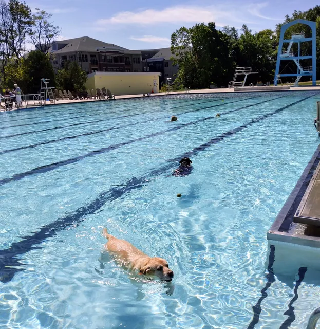 Maplewood Community Pool