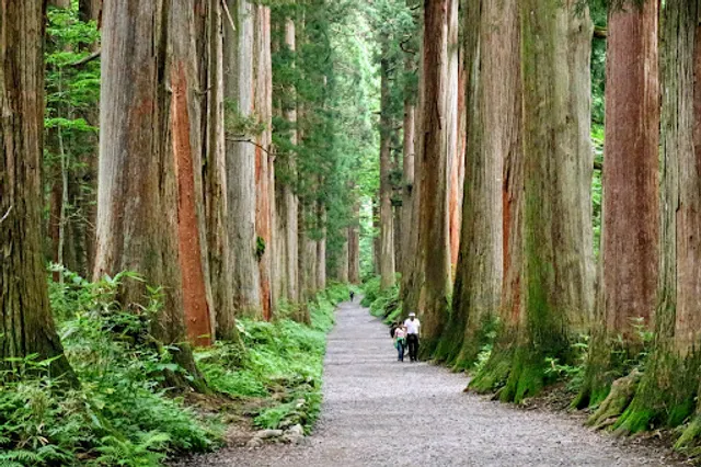 Togakushi Shrine Okusha (Main Shrine) The Great Torii Gate