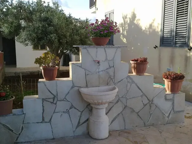 L'ulivo di Lu Bed & Breakfast