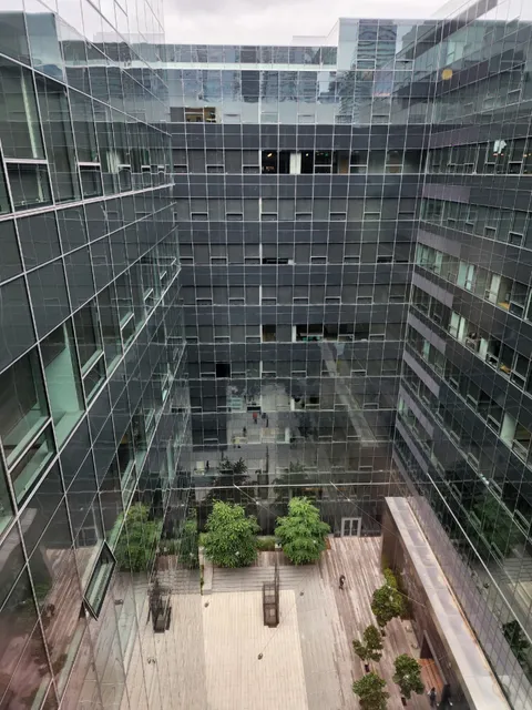 Amazon - Houdini South