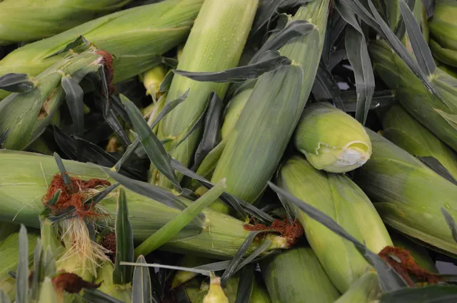 Naber Produce Farm, LLC