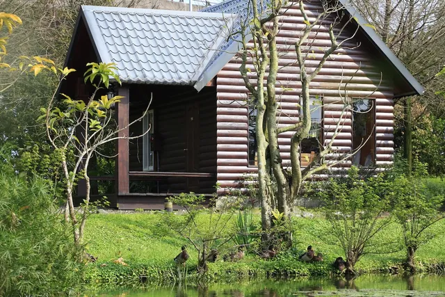 禾風竹露生態民宿