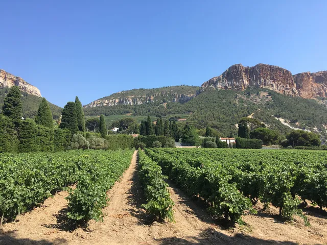 Provence Wine Tours