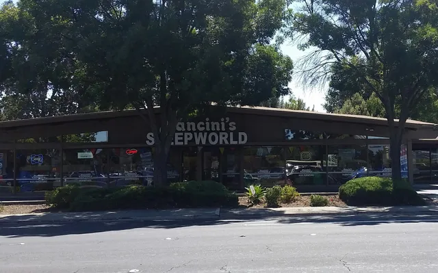 Mancini’s Sleepworld Concord