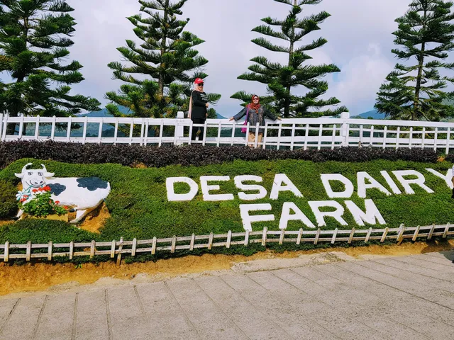 Roundabout Desa Dairy Farm Signature Direction Decoration Kundasang, Sabah.