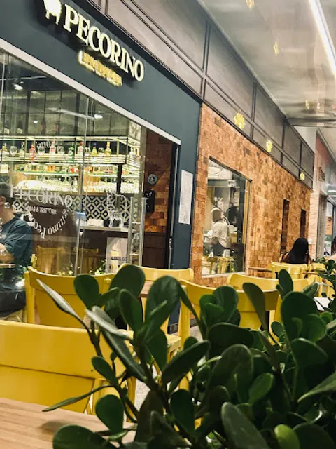 Pecorino Bar & Trattoria Bosque Maia: Massa, Risoto, Vinho, Guarulhos SP