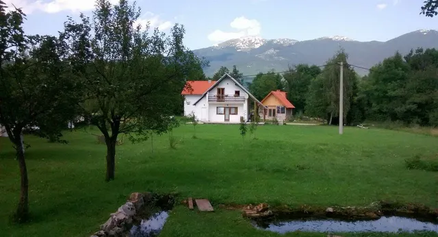 Galesic Apartments & Rooms