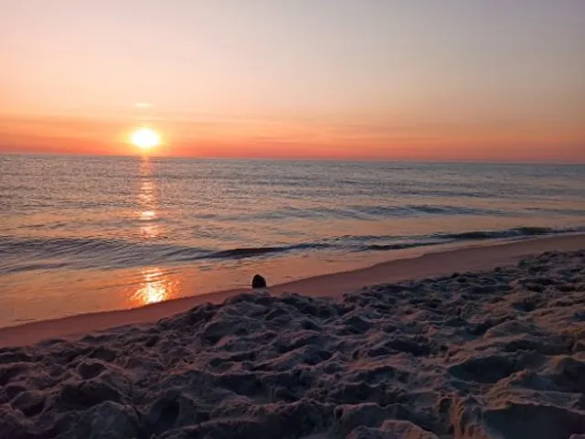 Domki Apartamentowe Kierunek Rozewie