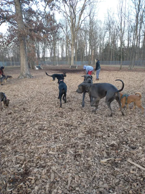 Montgomery Township Bark Park