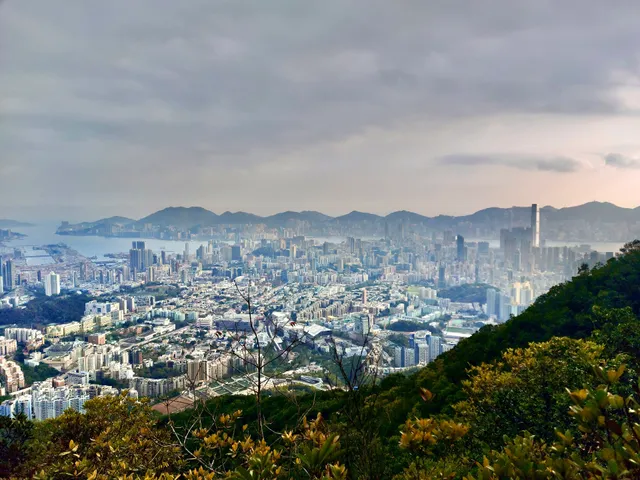 Beacon Hill Viewing Point